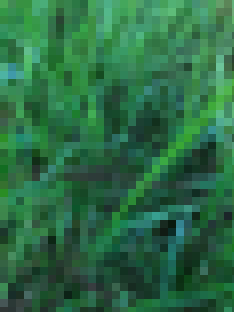 Metagrass #3