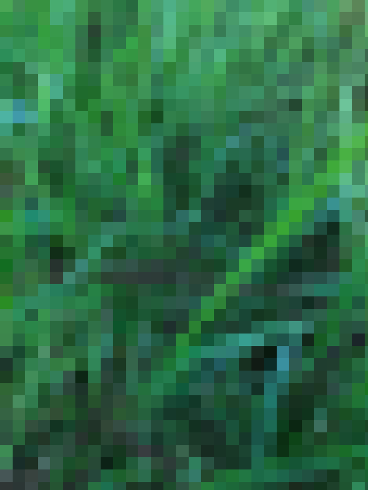 Metagrass #3