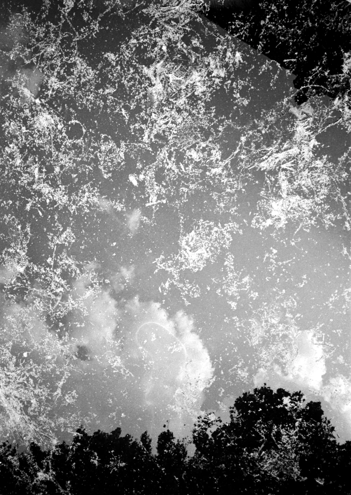 Reflecto