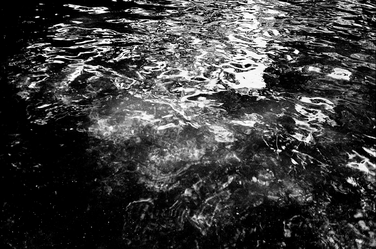 Thalassophile
