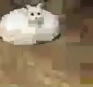:')